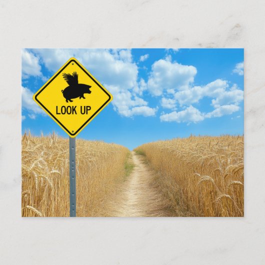 Vliegend Varken Ansichtkaart Briefkaart (Voorkant)