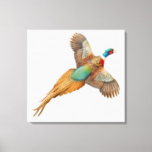 Vliegend Wild Ringnek Pheasant Wrapped Canvas Afdruk