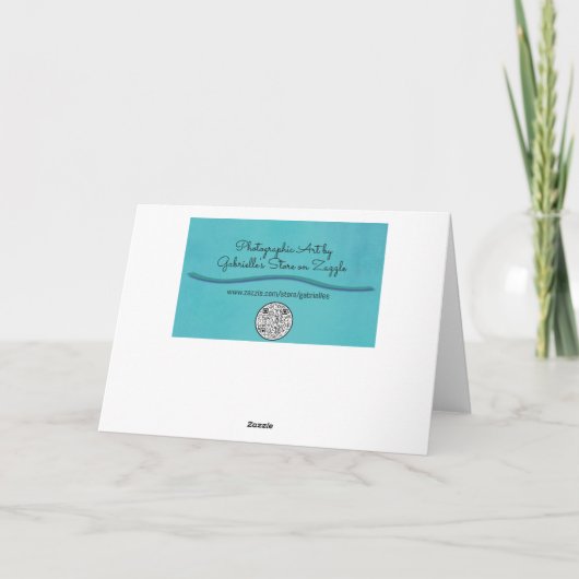  Vliegend Zee Meeuw Vogelbijbel Verse Art Note Kaart (Achterkant)