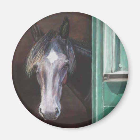 Vliegende boer uit de schuur magneet (Voorkant)