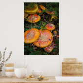 Vliegende boerenpaddenstoelen bij het meer van Mow Poster (Keuken)