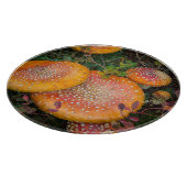 Vliegende boerenpaddenstoelen bij het meer van Mow Snijplank (Hoek)