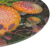 Vliegende boerenpaddenstoelen bij het meer van Mow Snijplank (Hoek)