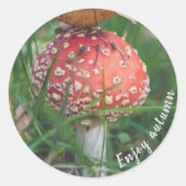 Vliegende bostelaar ronde sticker (Voorkant)