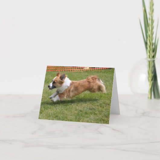 Vliegende Cardigan Welse Corgi Kaart (Voorkant)