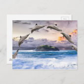 vliegende dolfijnen briefkaart (Voorkant / Achterkant)