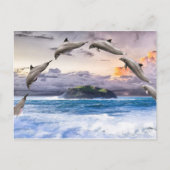 vliegende dolfijnen briefkaart (Voorkant)