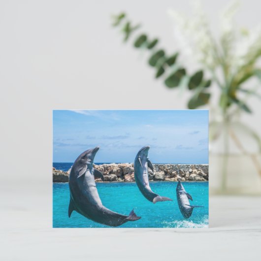 vliegende dolfijnen briefkaart (Staand voorkant)