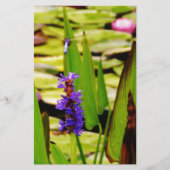 Vliegende dragonfly briefpapier (Voorkant)