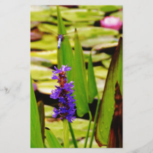 Vliegende dragonfly briefpapier