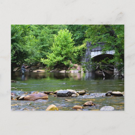 Vliegende droom op de Dag van de Vissen Briefkaart (Voorkant)