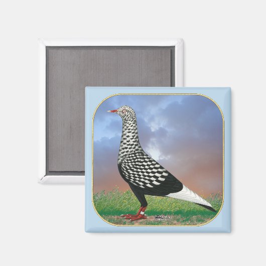 Vliegende duif en wolken magneet (Voorkant / Achterkant)