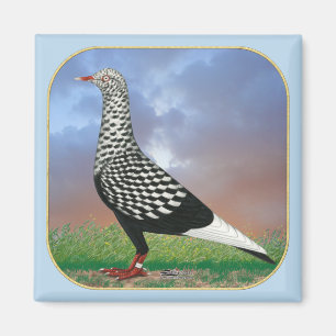 Vliegende duif en wolken magneet