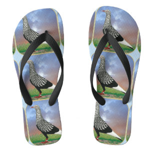 Vliegende duif en wolken teenslippers