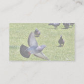 Vliegende duif visitekaartje (Achterkant)