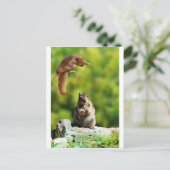 Vliegende eekhoorn briefkaart (Staand voorkant)