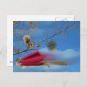 Vliegende eekhoorn briefkaart (Voorkant / Achterkant)