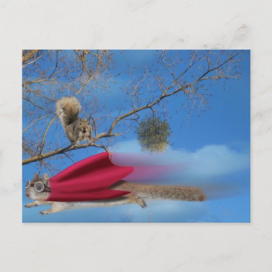 Vliegende eekhoorn briefkaart (Voorkant)