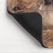Vliegende eekhoorn Mousepad Muismat (Hoek)