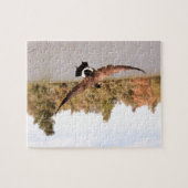 vliegende eend boven water foto legpuzzel (Horizontaal)