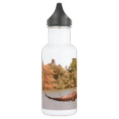 vliegende eend boven water foto waterfles (Links)