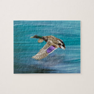Vliegende eend van wilde eend legpuzzel