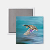 Vliegende eend van wilde eend magneet (Voorkant / Achterkant)