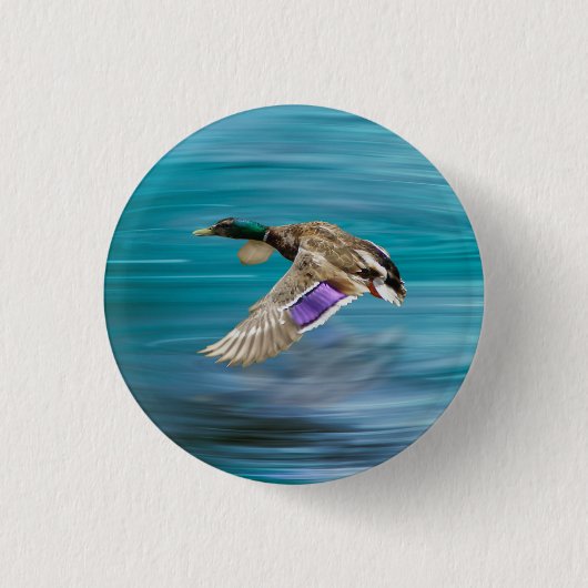 Vliegende eend van wilde eend ronde button 3,2 cm (Voorkant)