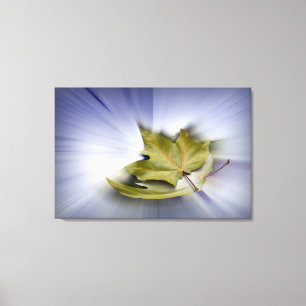 Vliegende esdoornbladeren canvas afdruk