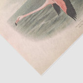 Vliegende Flamingo Bird Ephemera Decoupage Tissuepapier (Detail)