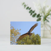 Vliegende gier van Turkije Briefkaart (Staand voorkant)