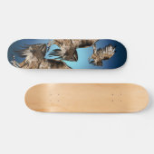 Vliegende Hawk Skateboard (Horizontaal)