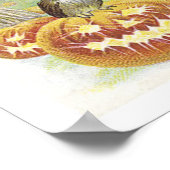 Vliegende heks, vleermuizen, katten, kippen poster (Hoek)