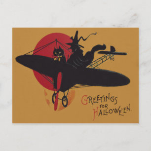 Vliegende Heks Zwarte Kat Vliegtuig Volle Maan Briefkaart