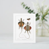 Vliegende hond briefkaart (Staand voorkant)