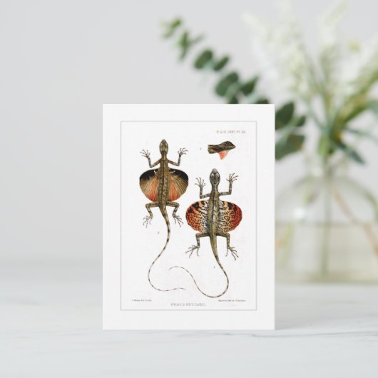 Vliegende hond briefkaart (Staand voorkant)