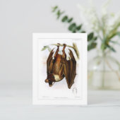 vliegende hond briefkaart (Staand voorkant)