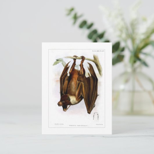 vliegende hond briefkaart (Staand voorkant)