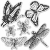 Vliegende insecten doorzichtige stickers (Voorkant)