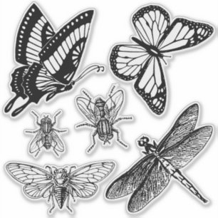 Vliegende insecten doorzichtige stickers