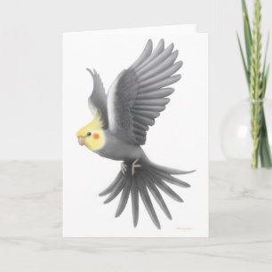 Vliegende Kaart Cockatiel