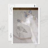 Vliegende katten briefkaart (Voorkant / Achterkant)