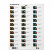 Vliegende Kleine Fee Vlinder Tshirt Etiket (Full Sheet)