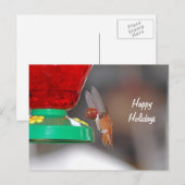 Vliegende kolibrie en kolibrie feeder feestdagenkaart (Voorkant / Achterkant)