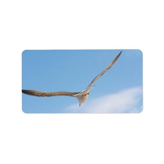 Vliegende meeuw etiket (Voorkant)