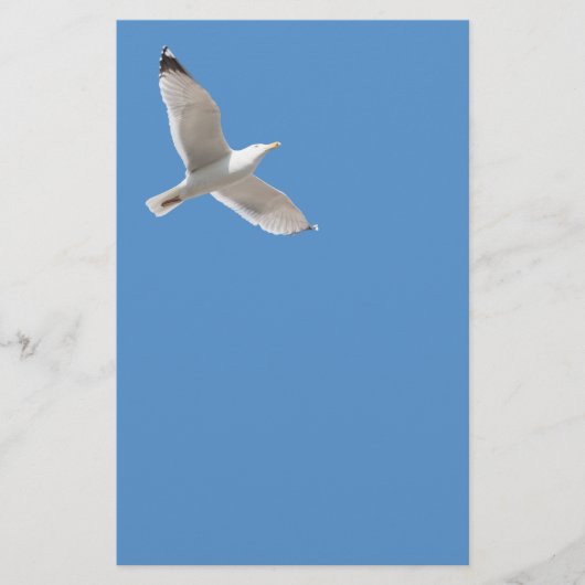 Vliegende meeuw flyer (Voorkant)