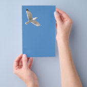Vliegende meeuw flyer (Hand)