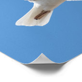 Vliegende meeuw poster (Hoek)