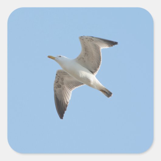 Vliegende meeuw vierkante sticker (Voorkant)