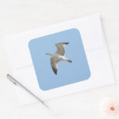 Vliegende meeuw vierkante sticker (Envelop)